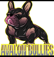 WW🌍👐🏿 Avalon Bullies Pits & Frenchies